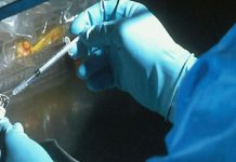 HIV ve HPV pozitif vakalarında artış iddiasına Karabük İl Sağlık Müdürlüğü’nden yalanlama