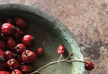 Lalehan Uysal’ın “Kurda, Kuşa, Aşa… Ve Göze