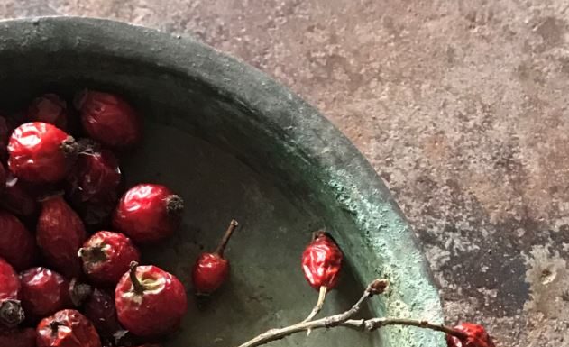 Lalehan Uysal’ın “Kurda, Kuşa, Aşa… Ve Göze
