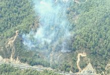 Muğla-Ortaca’daki yangın söndürüldü