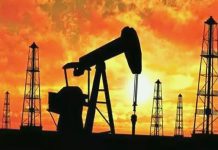 Brent Petrol, OPEC ve IEA raporlarının ardından sert düştü