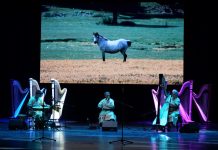 2. Ceren Necipoğlu İstanbul Uluslararası Arp Festivali ödül töreni ve kapanış konseriyle sona erdi