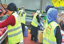 Devlet desteğiyle kurduğu tesisle 21 ülkeye elma ihraç ediyor