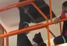 Kadavra köpeği havalandırmada bir gün boyunda kuyumcu hırsızını aradı!