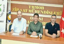 Alparslan: Zeytin ağaçlarının yok edilmesi ihracatta kayıplara yol açar