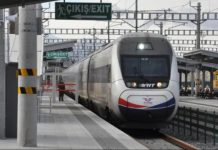 TCDD Demiryolu Hatlarında İlaçlama: Lojistik Şirketleri Hazırlıklı Olmalı