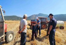 Hasat Döneminde Yangın Riski: Biçerdöver Operatörleri Ne Yapmalı?
