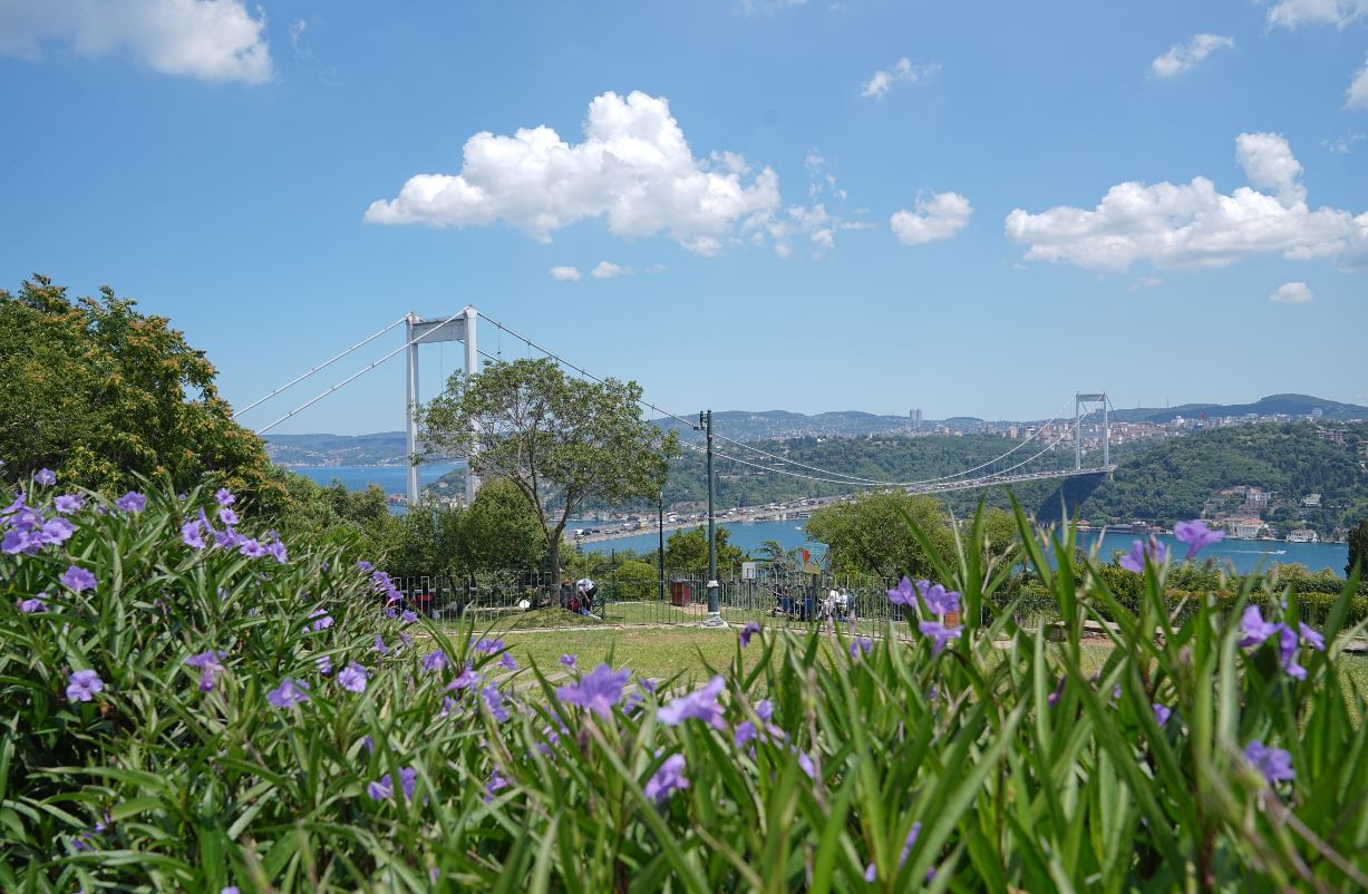 AĞUSTOS AKŞAMLARI