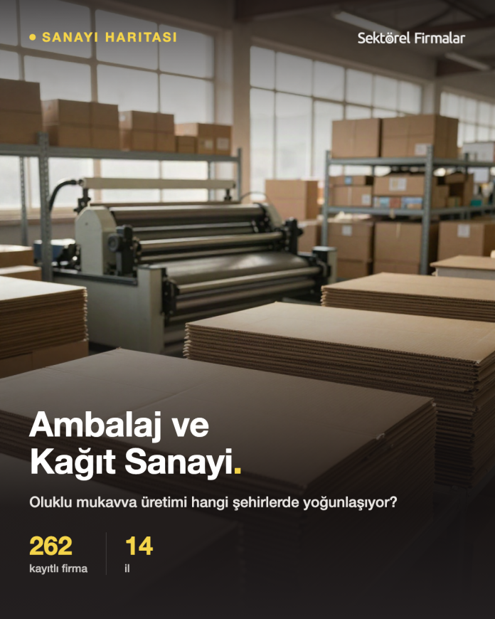 Türkiye ambalaj ve kağıt sanayi haritası, oluklu mukavva üretim tesisi