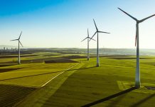 COP31 Hazırlıklarında Enerji Sektörü Gençlerin Katılımını Bekliyor